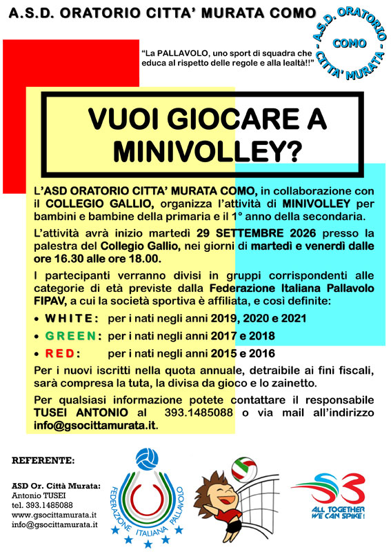 volantino minivolley 206/27